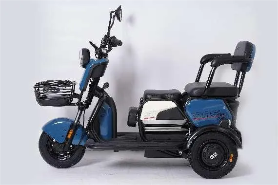Kattalar uchun elektr trike
