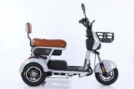 Uch g'ildirakli elektr velosipedlar